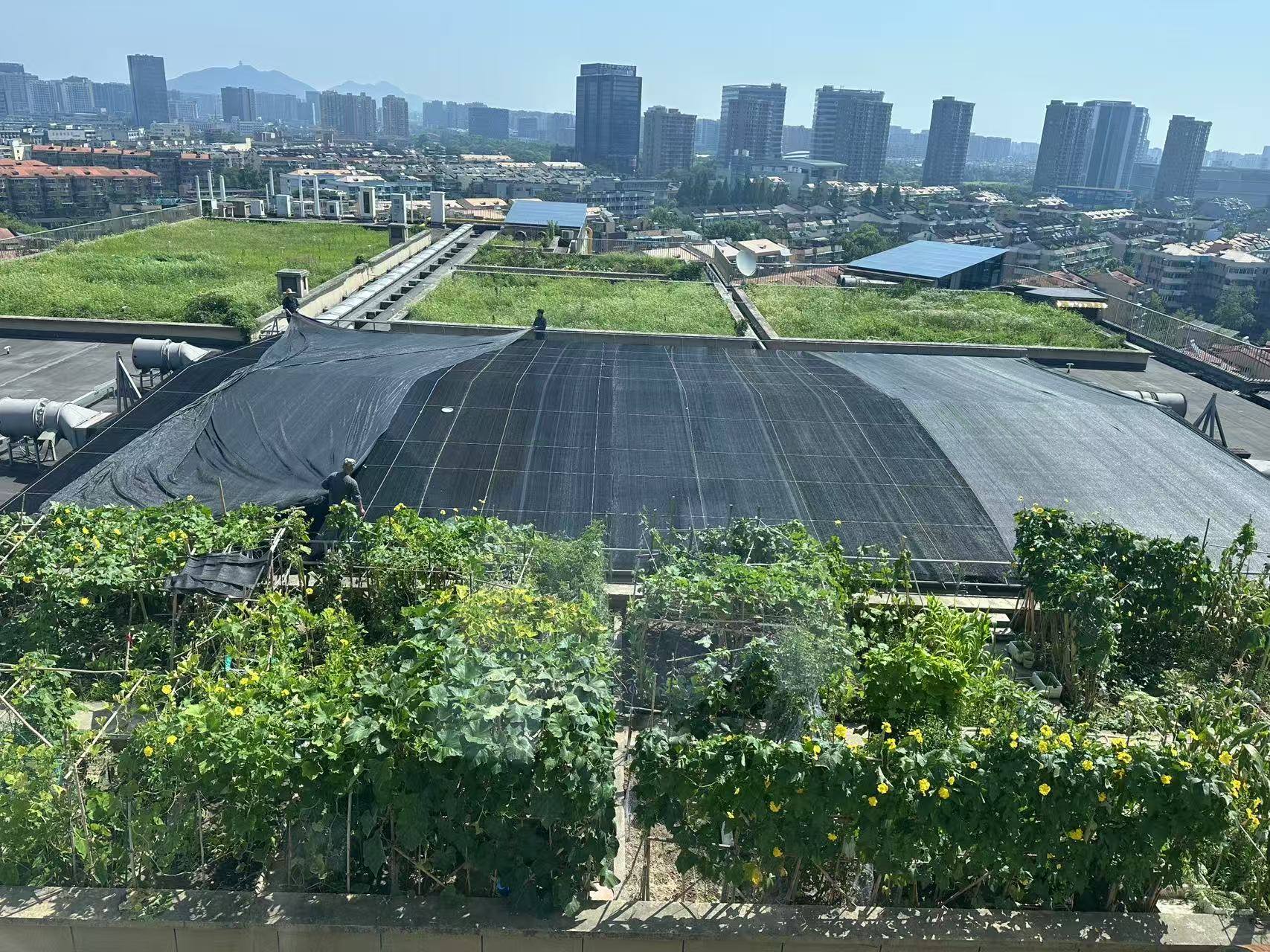 水晶城巧施”遮阳术“，为节能降耗注入清凉动力